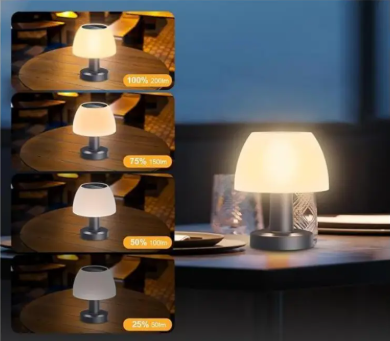 portable solar table lamp